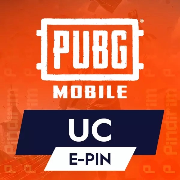 PUBG Epin 60